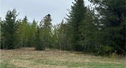 Residential - Vacant Land - Rural Parkland County, Canada - Canada