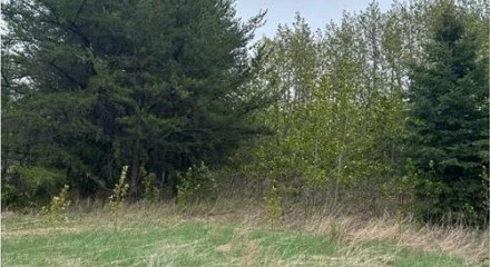 Residential - Vacant Land - Rural Parkland County, Canada - Canada