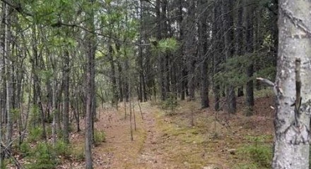Residential - Vacant Land - Rural Parkland County, Canada - Canada