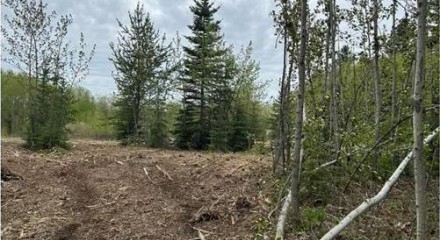 Residential - Vacant Land - Rural Parkland County, Canada - Canada