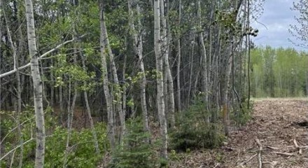 Residential - Vacant Land - Rural Parkland County, Canada - Canada