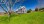 Residential - Single Family Home - Clementsport, Canada - Canada