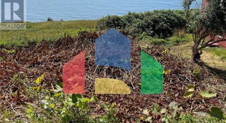 Residential - Vacant Land - Cape St George, Canada - Canada