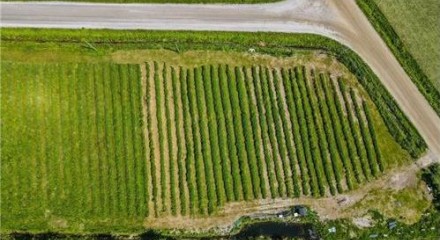 Commercial - Land - Chesterville, Canada - Canada