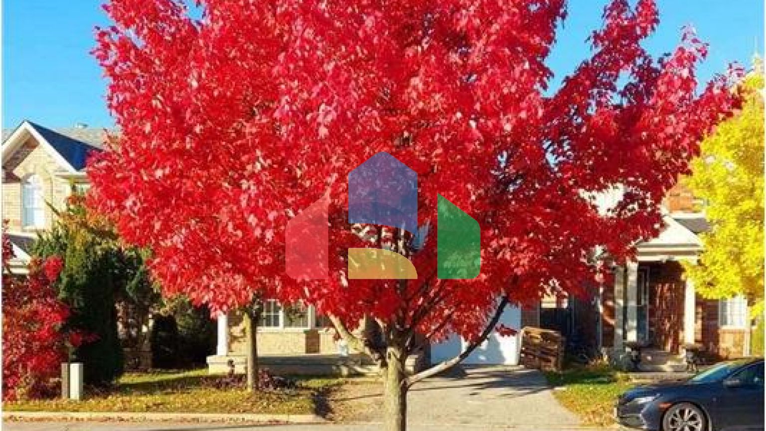 Residential - Single Family Home - Cambridge, Canada - Canada