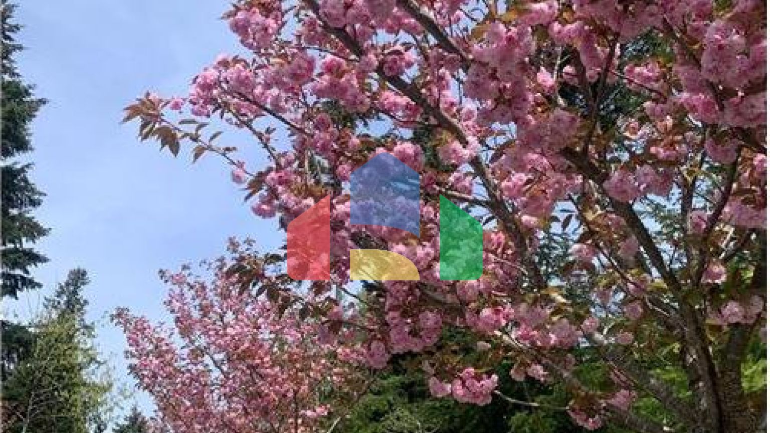 Residential - Single Family Home - Duncan, Canada - Canada