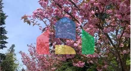 Residential - Single Family Home - Duncan, Canada - Canada