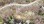 Residential - Land - Val-des-Monts, Canada - Canada