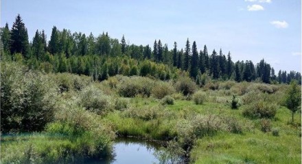 Residential - Single Family Home - Rural Yellowhead, Canada - Canada