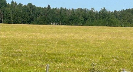 Residential - Single Family Home - Rural Yellowhead, Canada - Canada