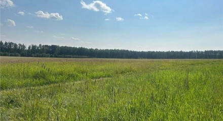 Residential - Single Family Home - Rural Yellowhead, Canada - Canada