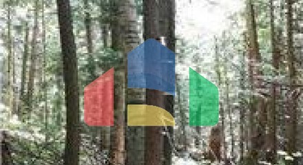 Residential - Vacant Land - Bracebridge, Canada - Canada
