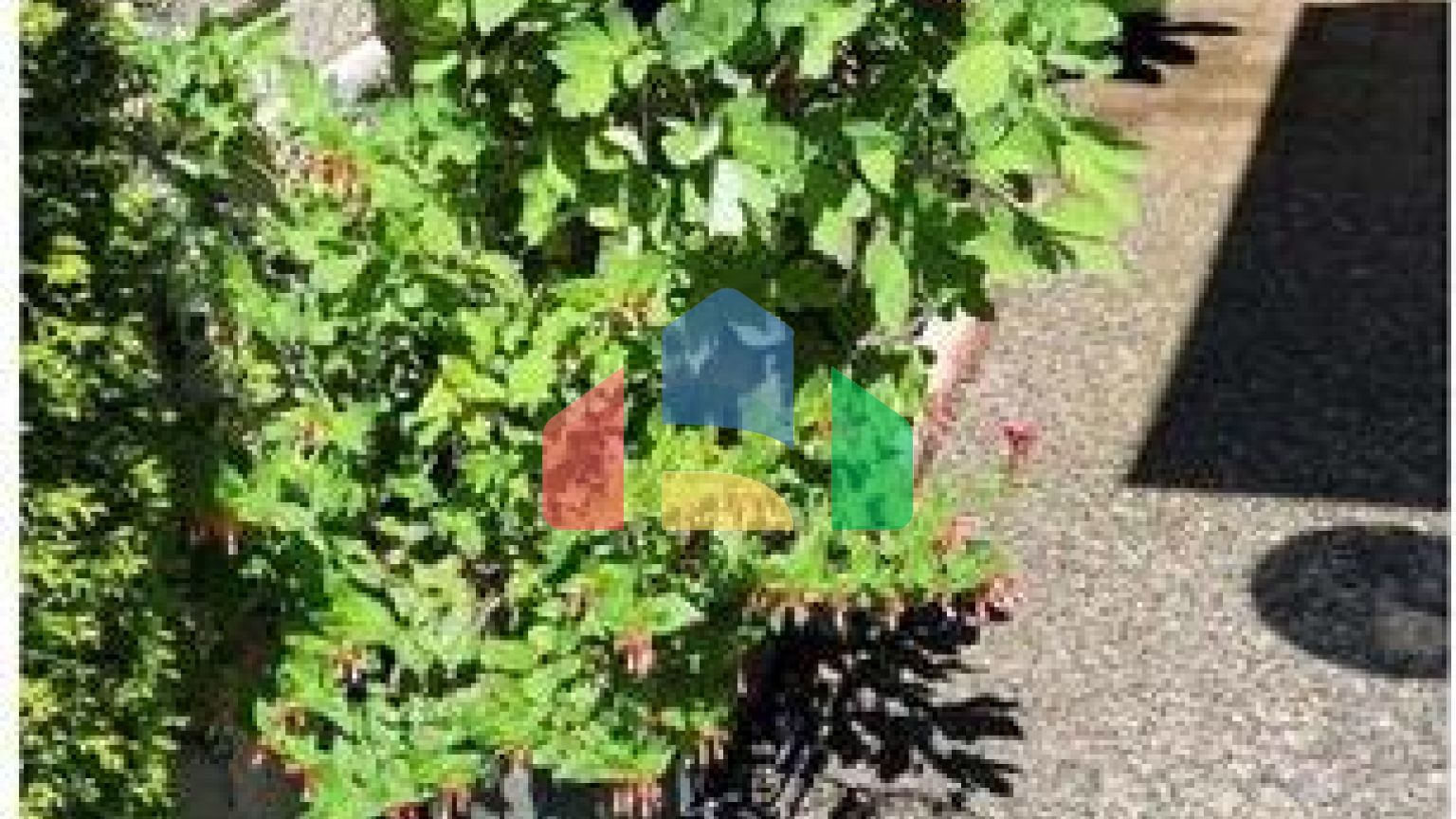 Residential - Townhouse - Surrey, Canada - Canada