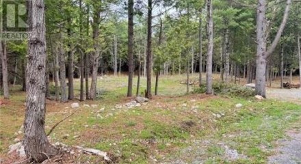 Residential - Vacant Land - Douro, Canada - Canada