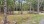 Residential - Vacant Land - Douro, Canada - Canada