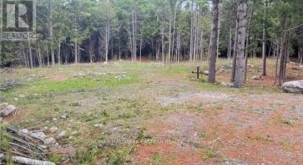 Residential - Vacant Land - Douro, Canada - Canada