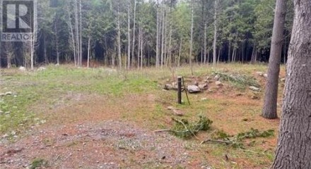Residential - Vacant Land - Douro, Canada - Canada