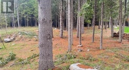 Residential - Vacant Land - Douro, Canada - Canada