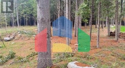 Residential - Vacant Land - Douro, Canada - Canada