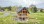 Residential - Two Level House - Saint-Louis-de-Blandford, Canada - Canada