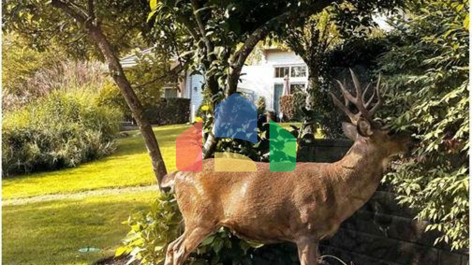 Residential - Single Family Home - Coquitlam, Canada - Canada