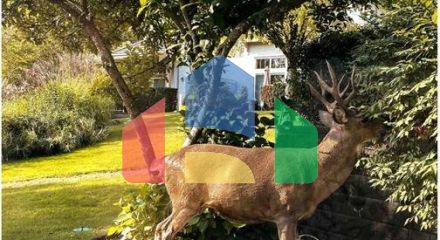 Residential - Single Family Home - Coquitlam, Canada - Canada