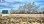 Residential - Vacant Land - Sarilia Country Estates, Canada - Canada