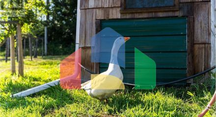 Residential - Single Family Home - Sooke, Canada - Canada