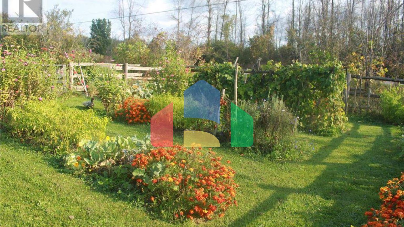 Residential - Single Family Home - Essa, Canada - Canada