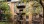 Commercial - Triplex or above - Hochelaga-Maisonneuve, Canada - Canada