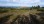 Residential - Land - Saint-Georges Malbaie, Canada - Canada