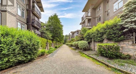 Residential - Condo/Apartment - Maple Ridge, Canada - Canada