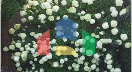 Residential - Single Family Home - Port Coquitlam, Canada - Canada