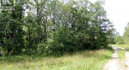 Residential - Vacant Land - Morson, Canada - Canada