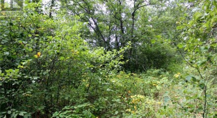 Residential - Vacant Land - Morson, Canada - Canada