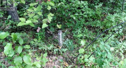Residential - Vacant Land - Morson, Canada - Canada