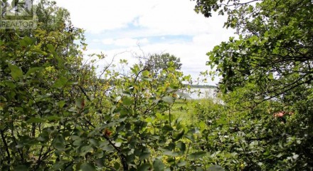 Residential - Vacant Land - Morson, Canada - Canada