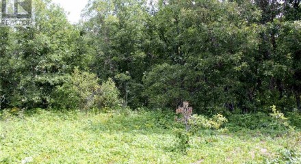 Residential - Vacant Land - Morson, Canada - Canada