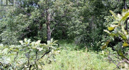 Residential - Vacant Land - Morson, Canada - Canada