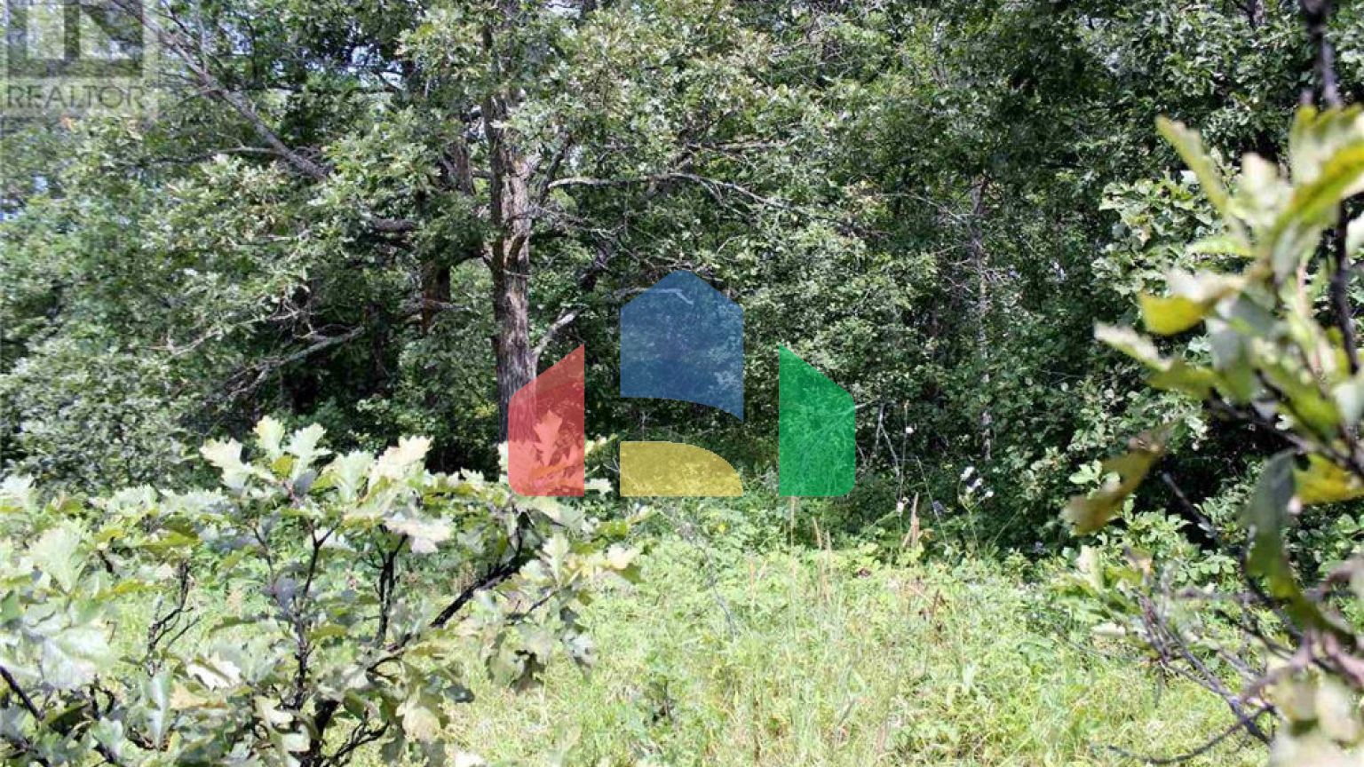 Residential - Vacant Land - Morson, Canada - Canada