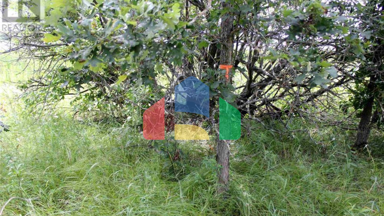 Residential - Vacant Land - Morson, Canada - Canada