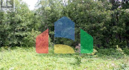 Residential - Vacant Land - Morson, Canada - Canada