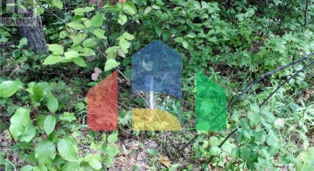 Residential - Vacant Land - Morson, Canada - Canada