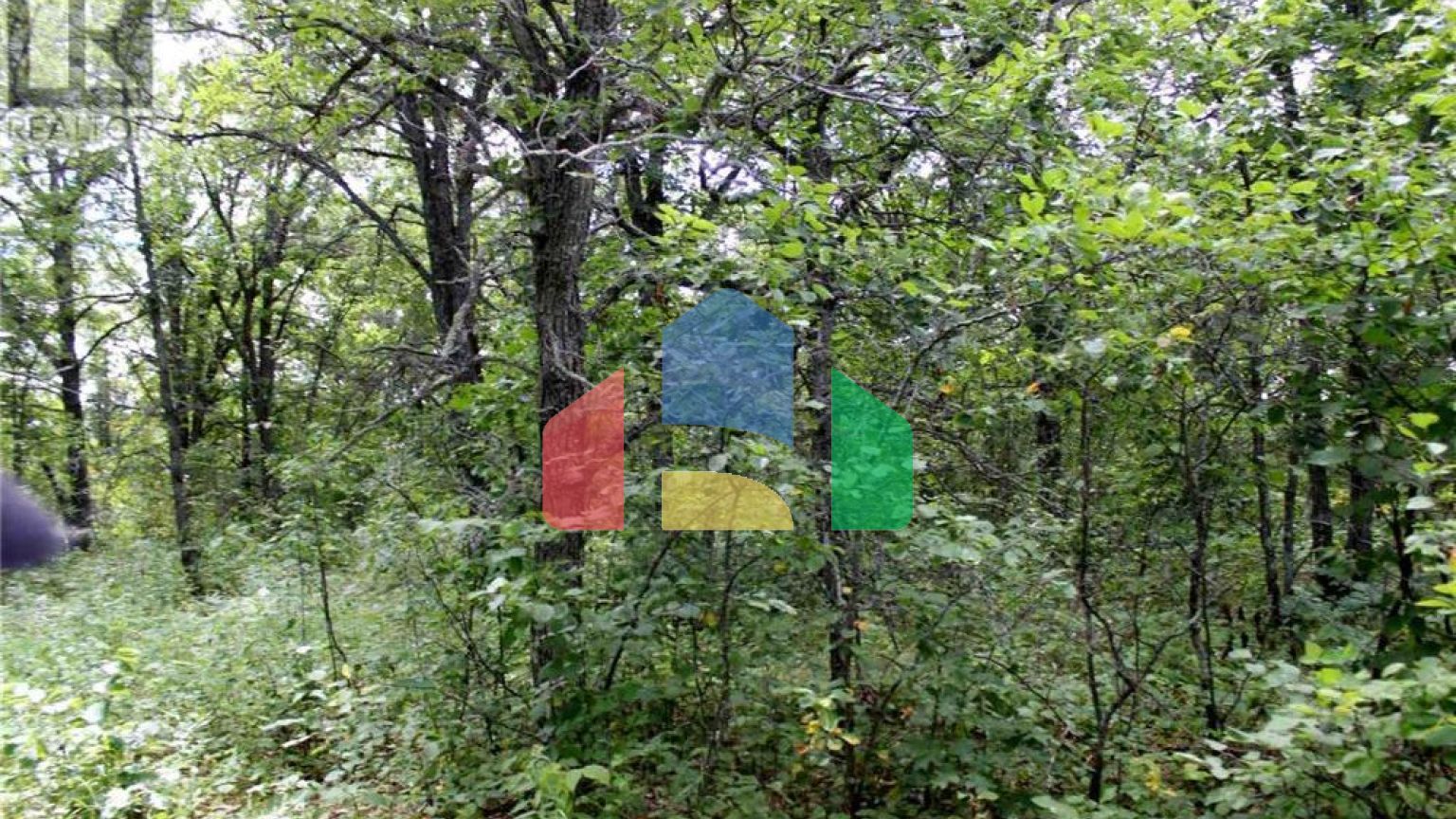 Residential - Vacant Land - Morson, Canada - Canada