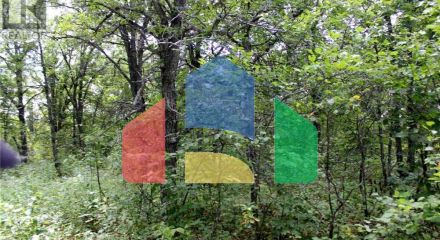 Residential - Vacant Land - Morson, Canada - Canada