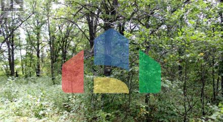 Residential - Vacant Land - Morson, Canada - Canada