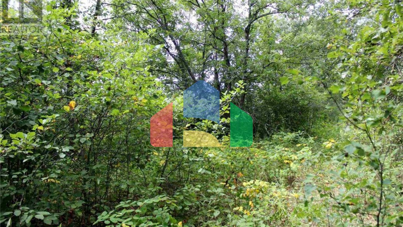 Residential - Vacant Land - Morson, Canada - Canada