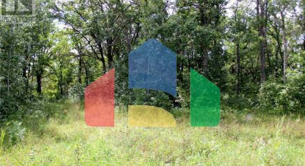 Residential - Vacant Land - Morson, Canada - Canada