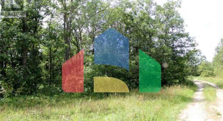 Residential - Vacant Land - Morson, Canada - Canada