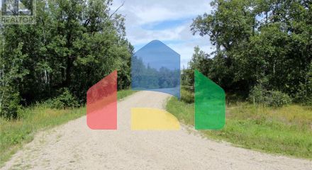 Residential - Vacant Land - Morson, Canada - Canada